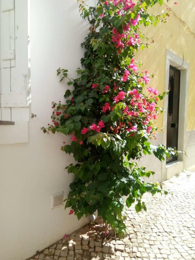 Brisas Da Ria Apartman Olhão Kültér fotó